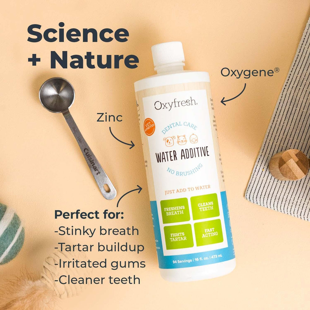 Oxyfresh chat qui boit illustrant tolérance chez félins et bénéfice