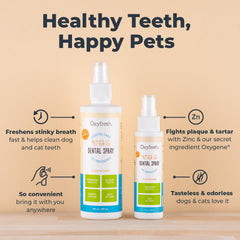Détail de l’étiquette Oxyfresh illustrant les précautions et ingrédients