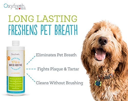 Oxyfresh flacon et bouchon en gros plan facilitant le dosage quotidien
