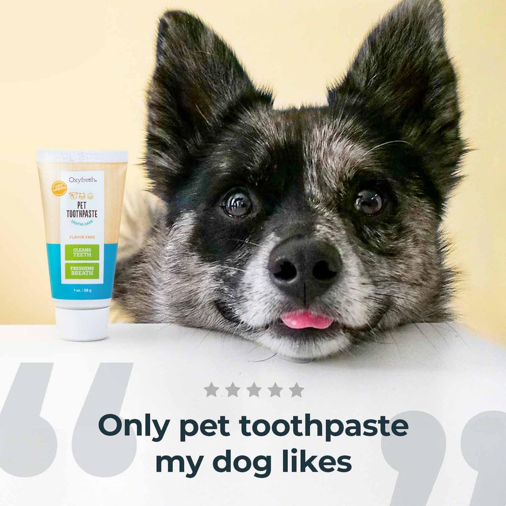 Oxyfresh gel texture en gros plan, gel doux pour gencives sensibles
