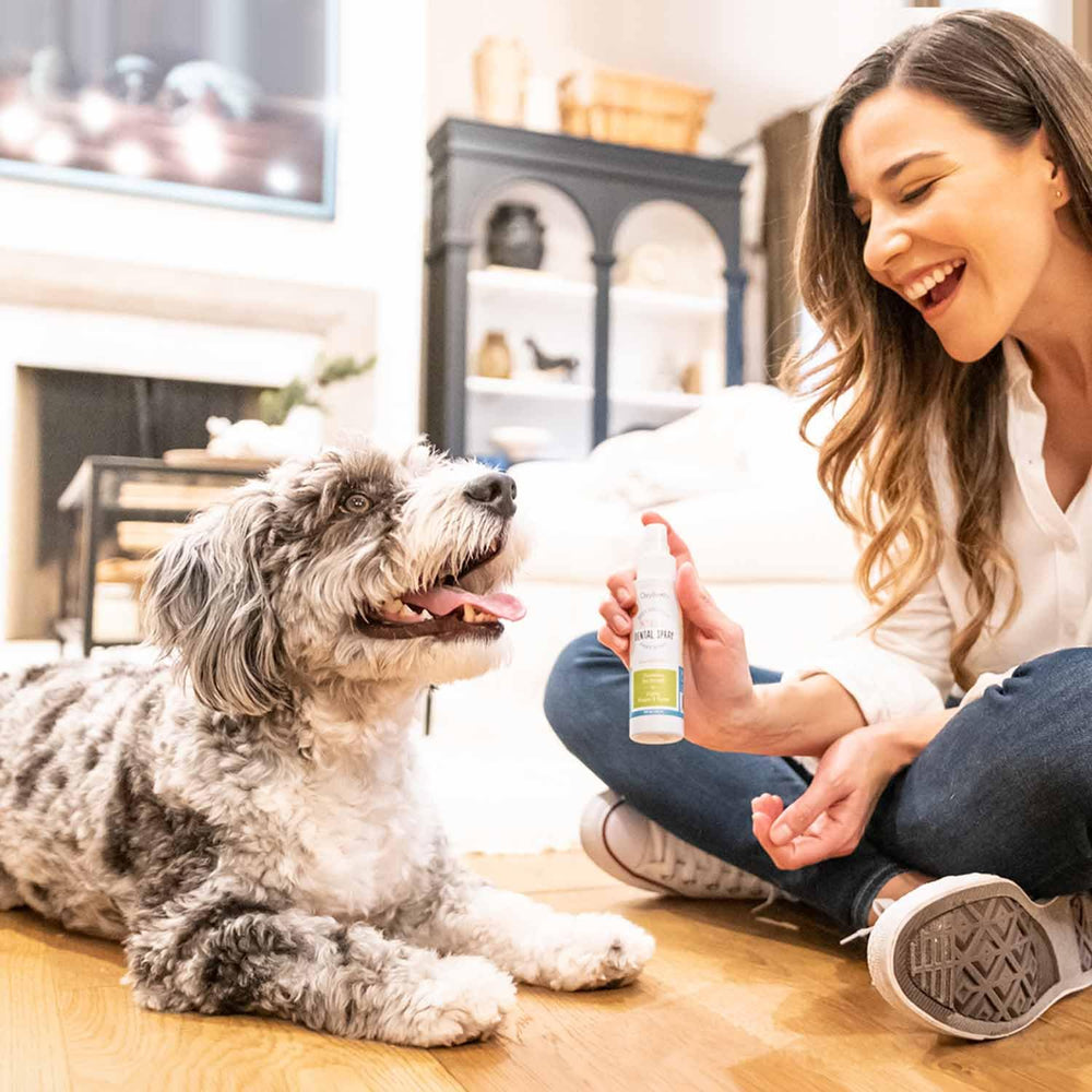Gros plan du vaporisateur Oxyfresh pour application précise et facile