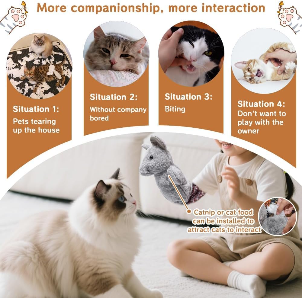 oyeftp gros plan clochette intégrée attirant l’attention du chat