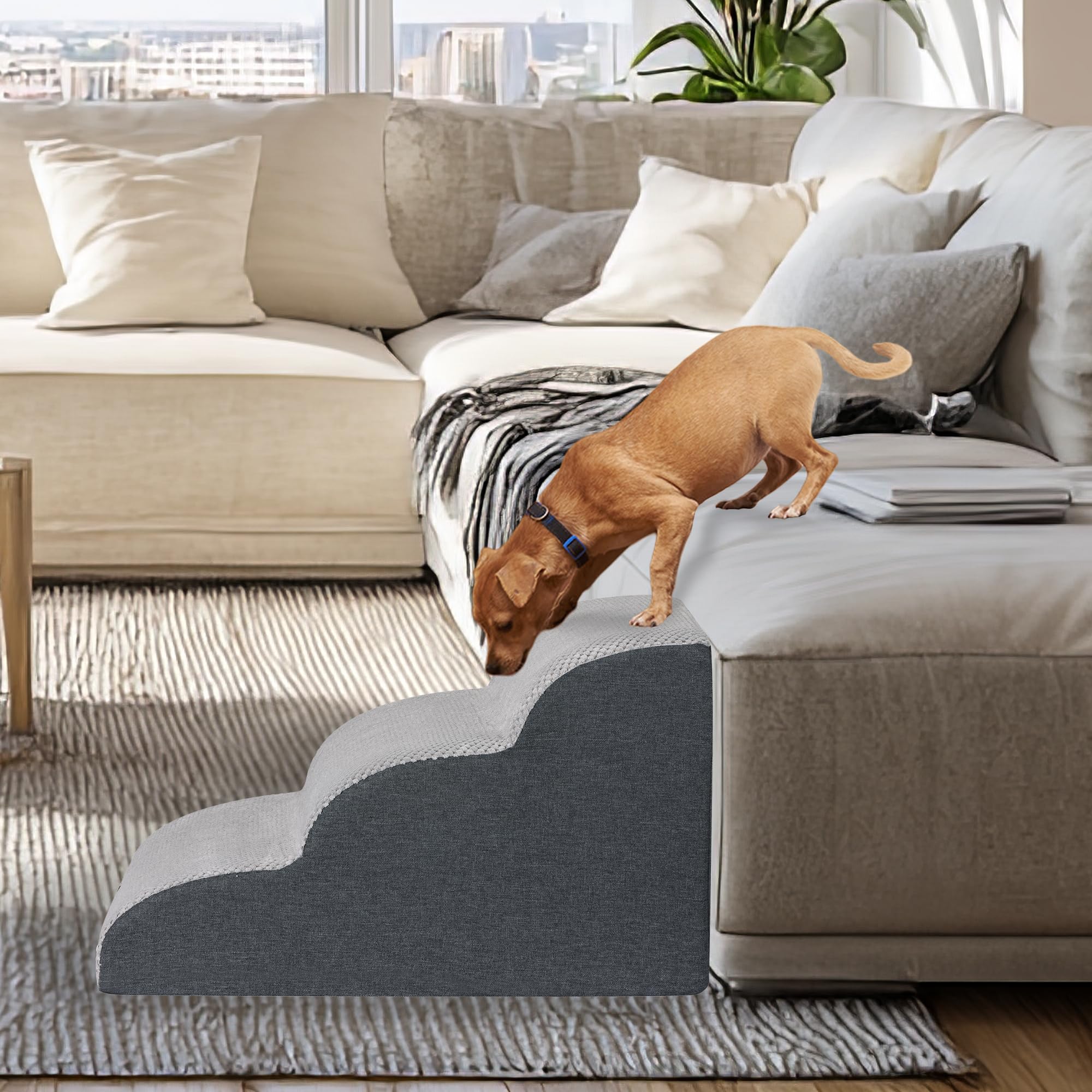 OYLZ comparaison taille montrant dimensions et échelle avec animal
