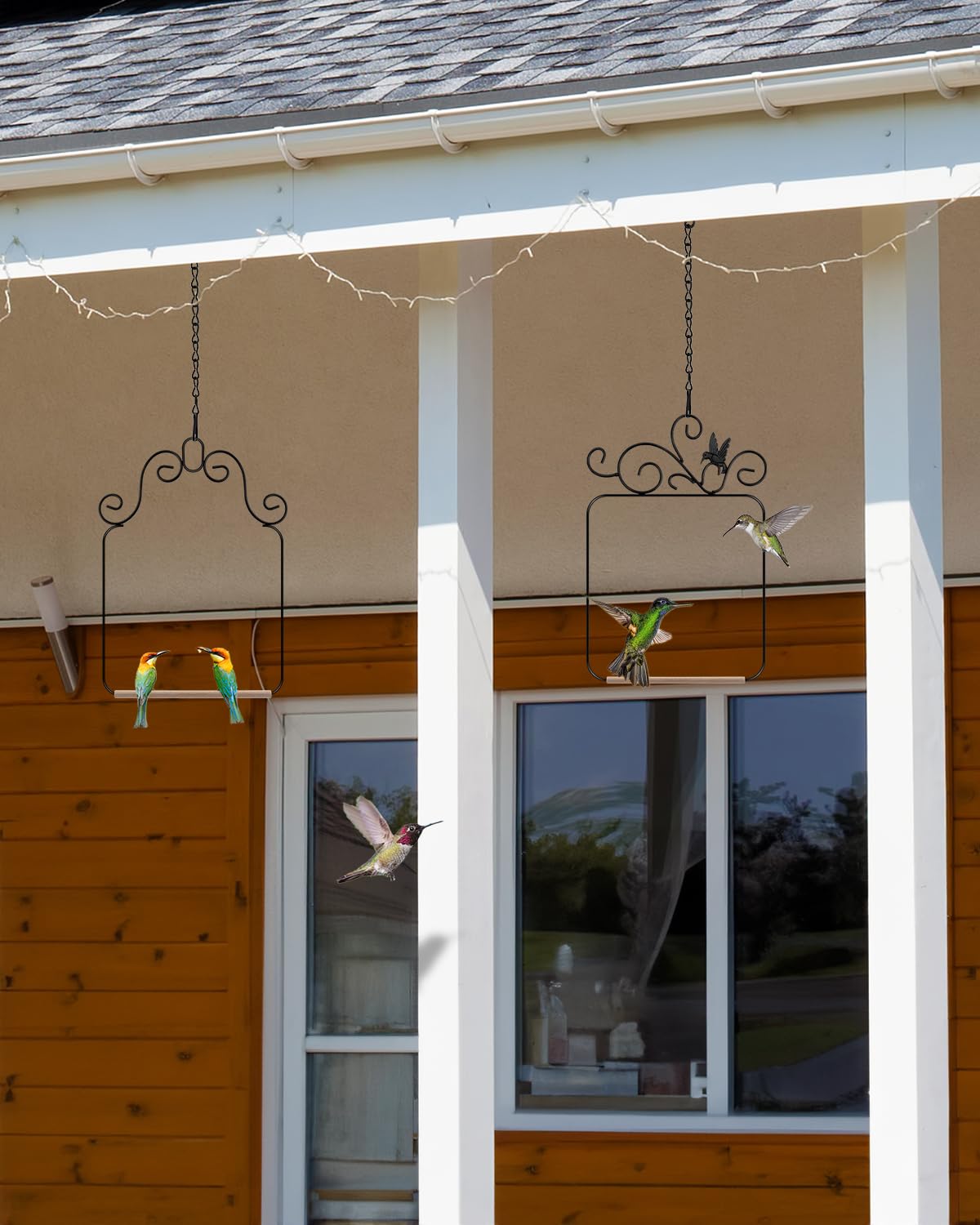 PACETAP perchoir installé dans jardin, embellit terrasse et attire oiseaux