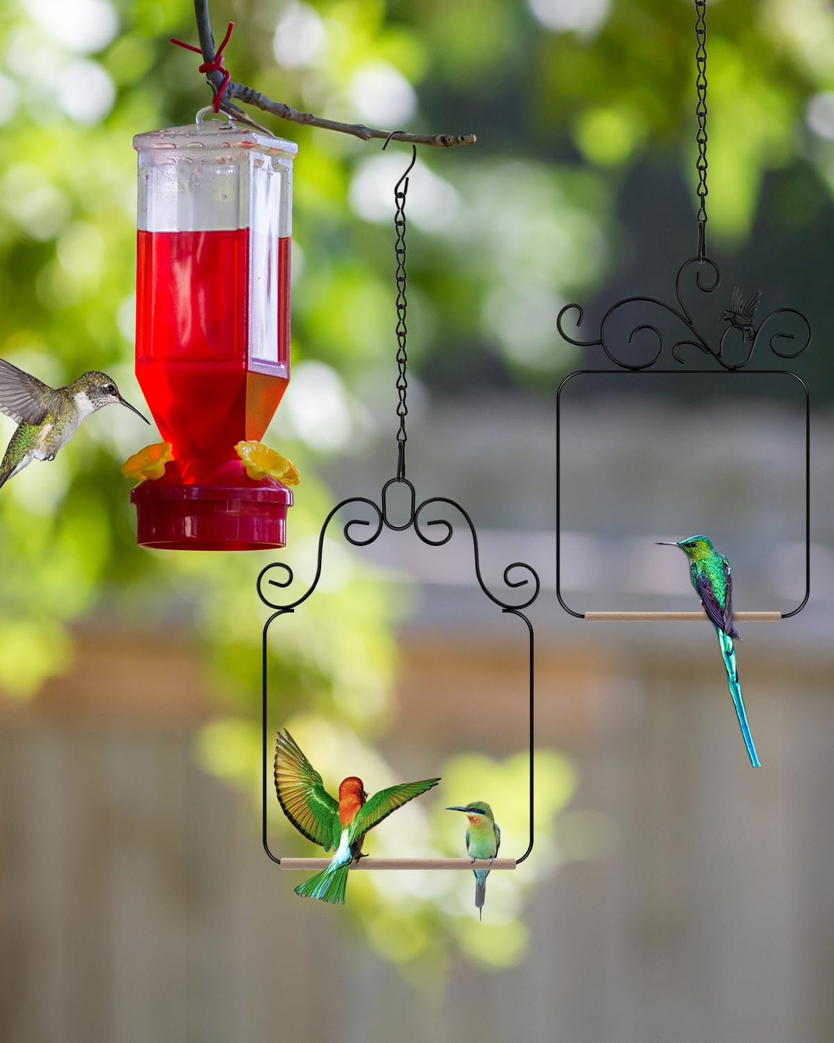 PACETAP gros plan barre en bois lisse, confort pour les pattes d’oiseaux