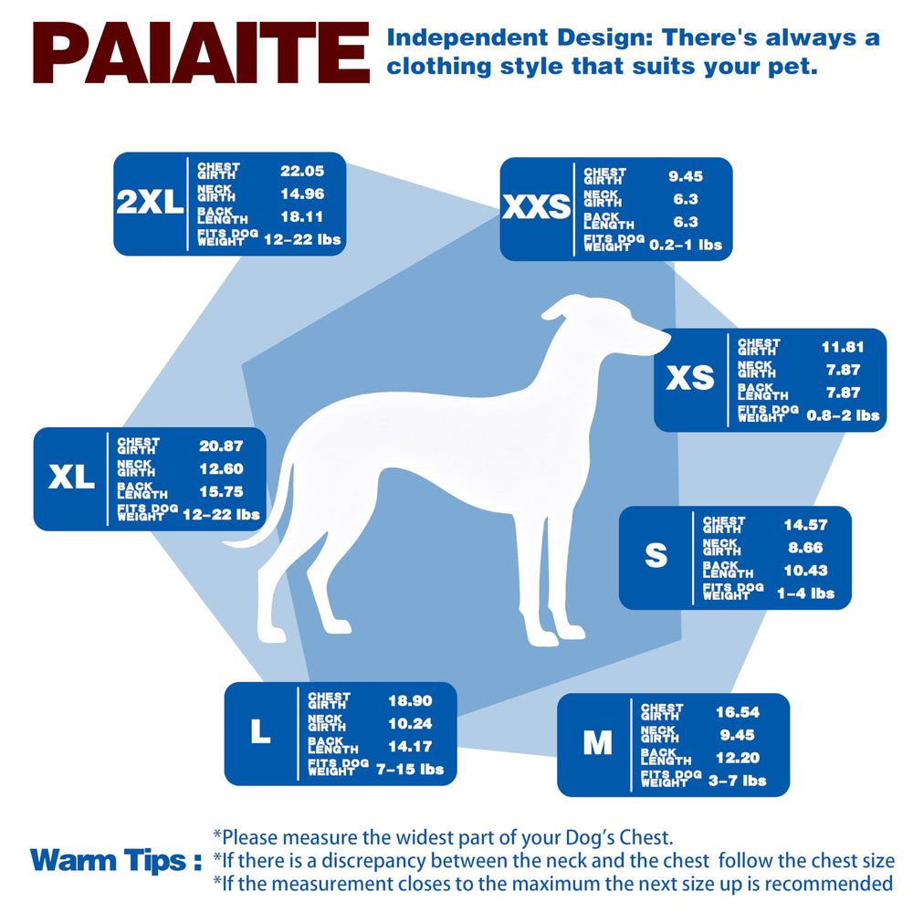 Chien portant Paiaite en train d’être mis, enfilage facile et adapté