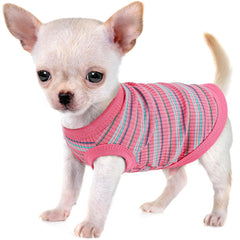 Paiaite tee-shirt rose porté, montre la coupe et confort pour petits chiens