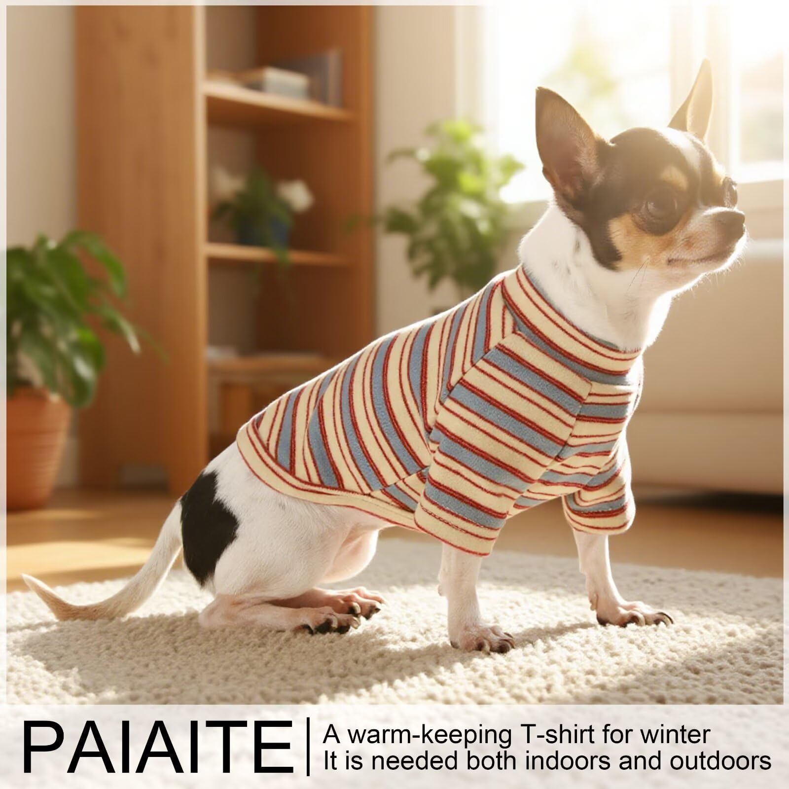 Paiaite lifestyle promenade urbaine montrant look visible et protection