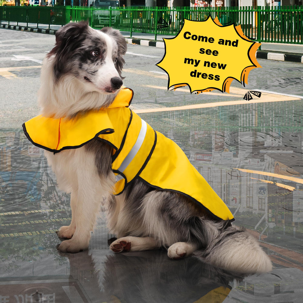Paiaite tissu imperméable perlant l'eau pour garder le chien sec