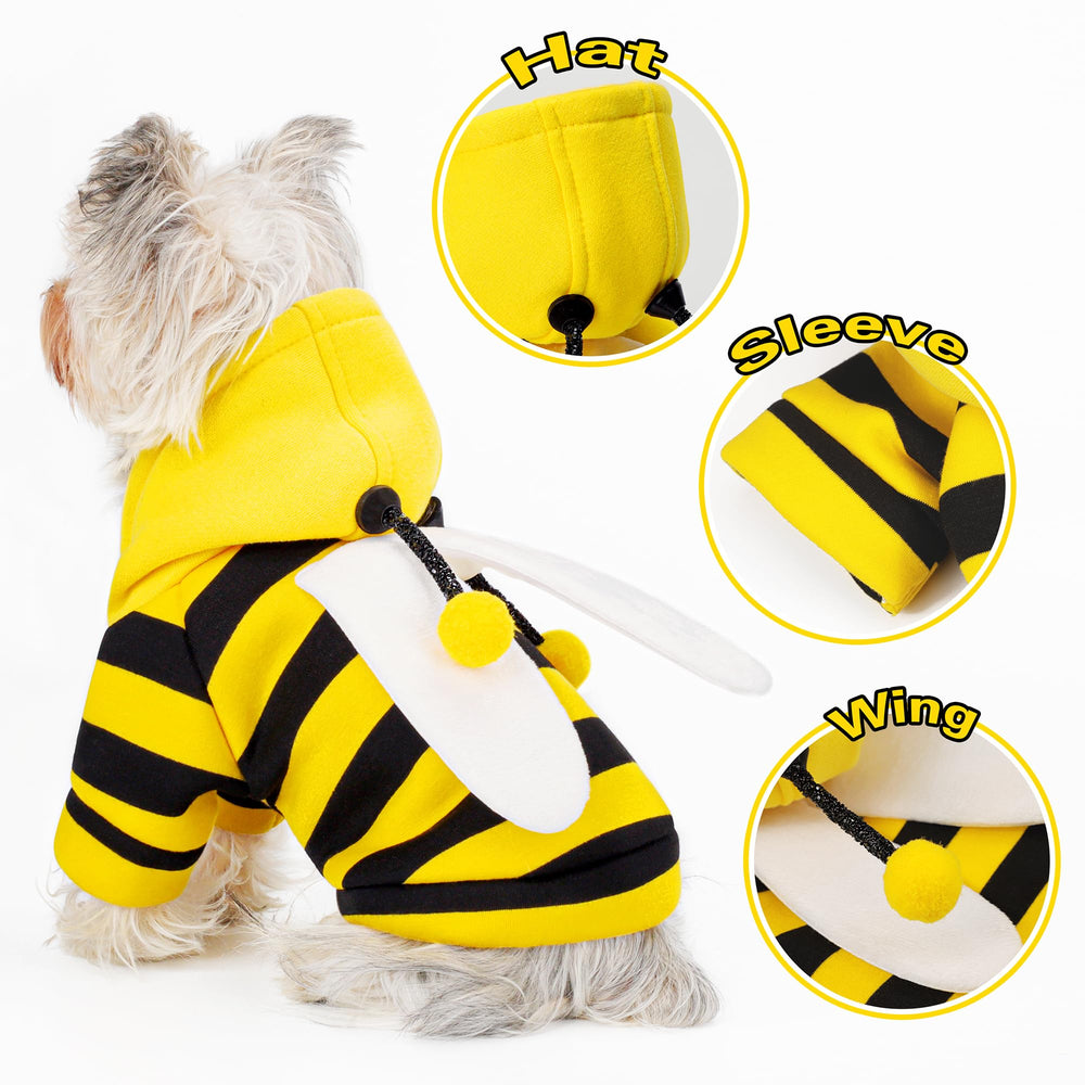 Paiaite scène festive chien costumé pour Halloween et souvenirs familiaux