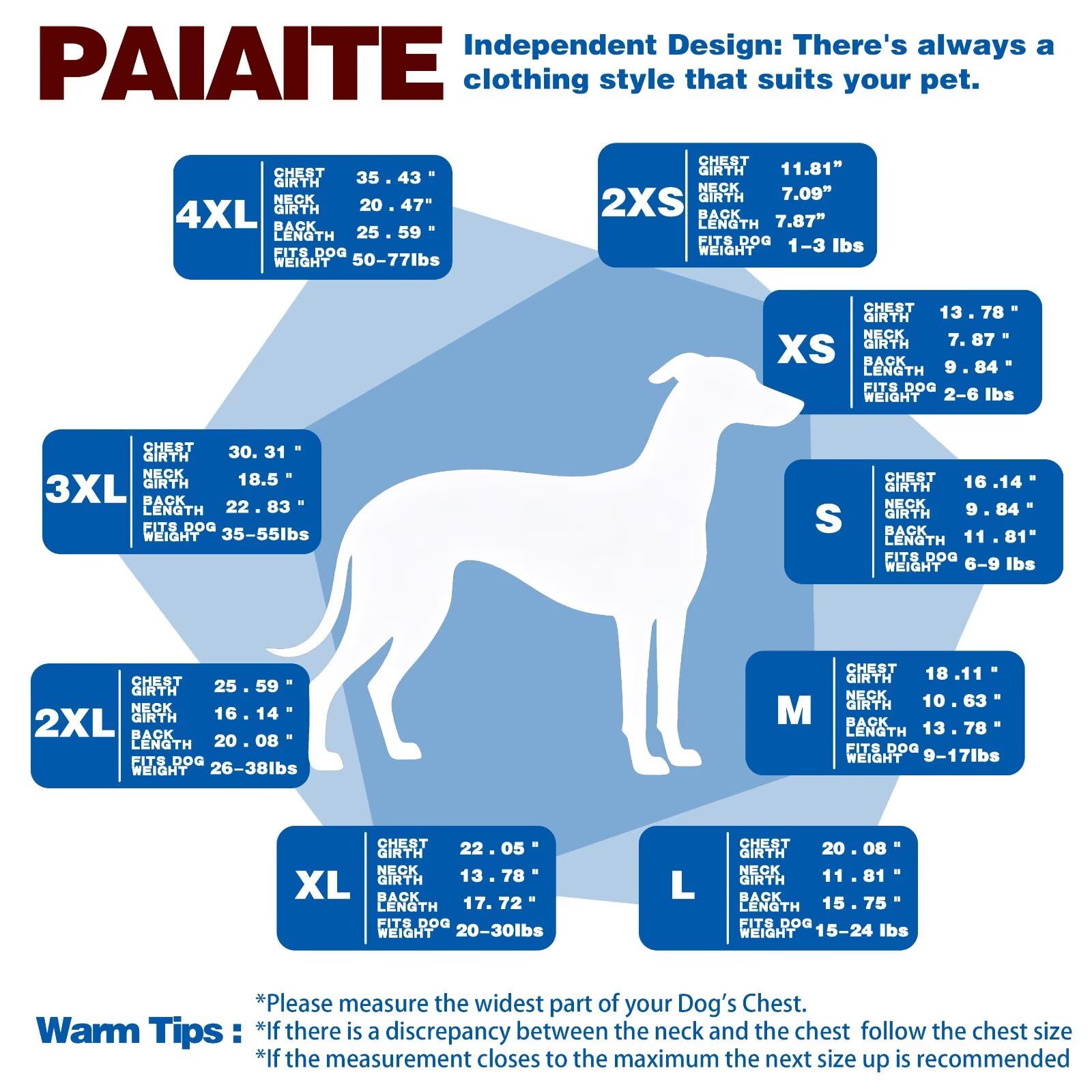 Paiaite t-shirt porté en balade, liberté de mouvement et confort visible