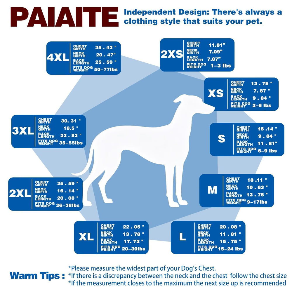 Paiaite t-shirt porté en balade, liberté de mouvement et confort visible