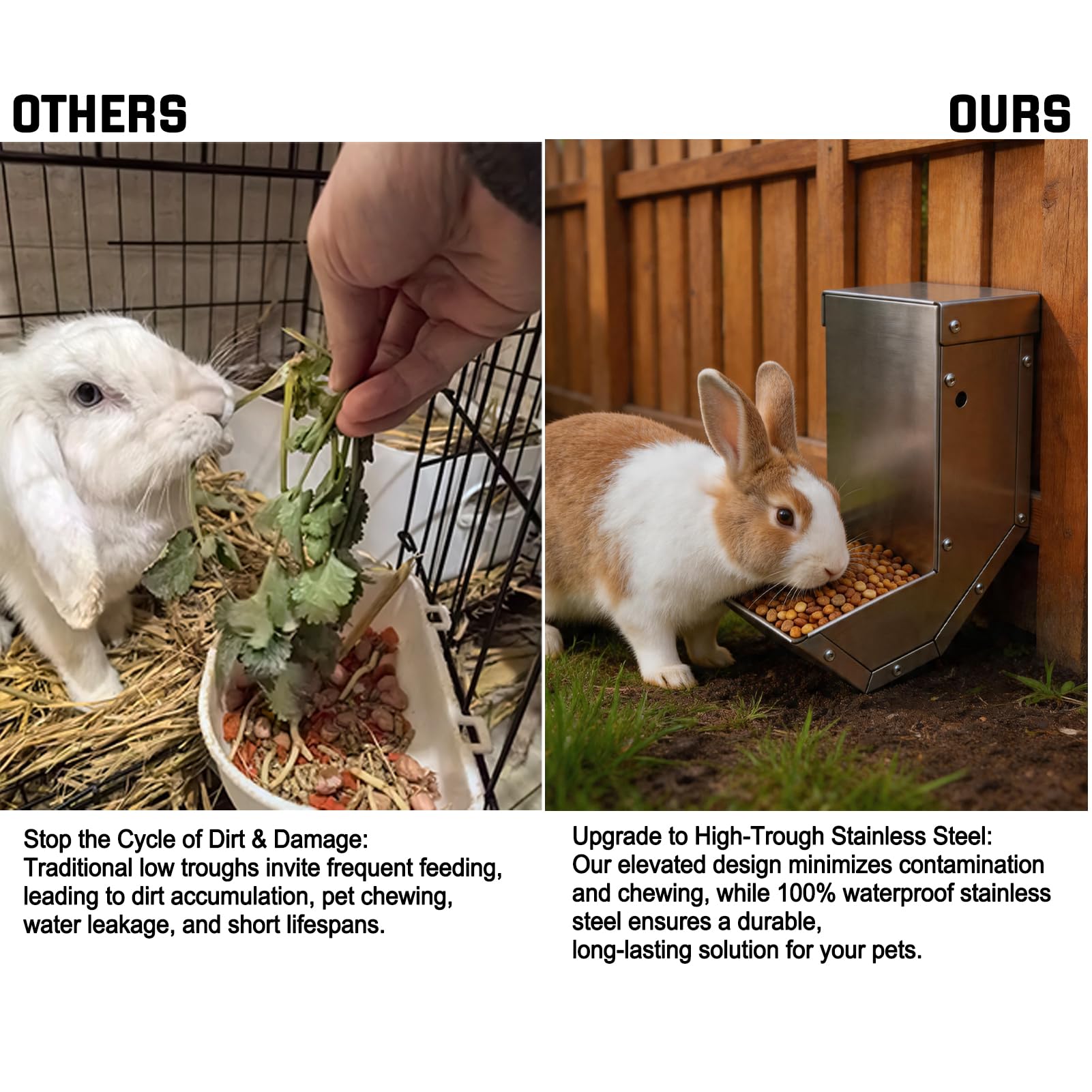 Paiaojia mangeoire utilisée par un lapin accès constant à l'aliment