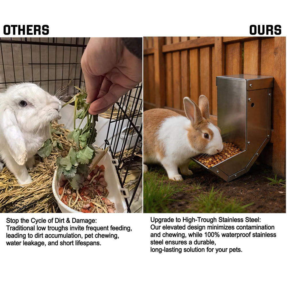 Paiaojia mangeoire utilisée par un lapin accès constant à l'aliment