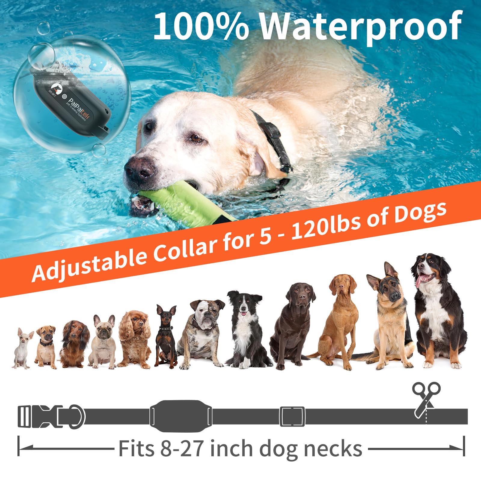 PaiPaitek collier sur rottweiler garantissant réglage adapté
