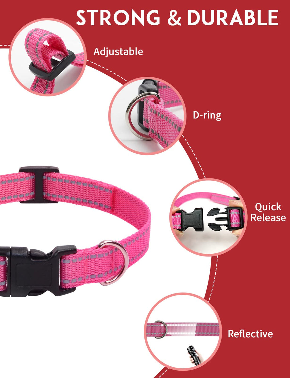 PaiPaitek sangle en usage sur chien assurant maintien et confort