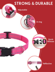 PaiPaitek sangle en usage sur chien assurant maintien et confort