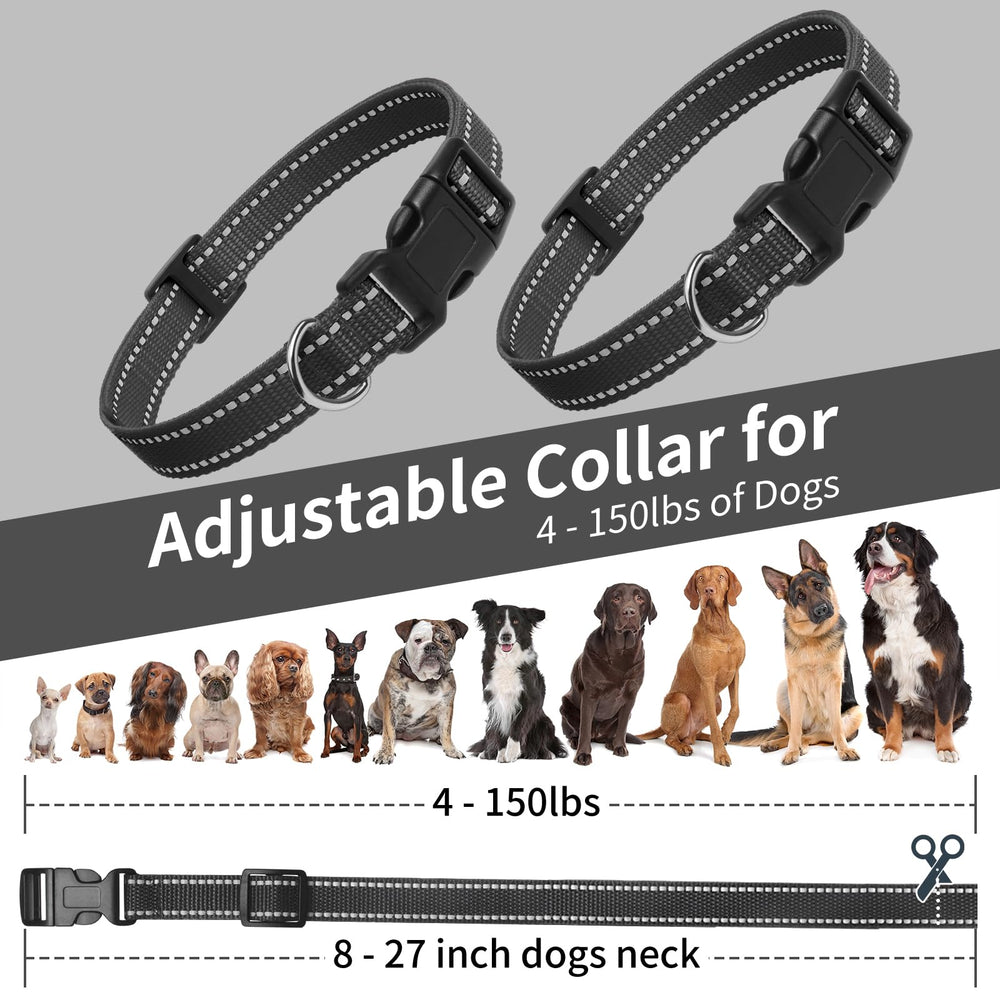 PaiPaitek collier porté par un chien lors d'une promenade sécurisée en extérieur