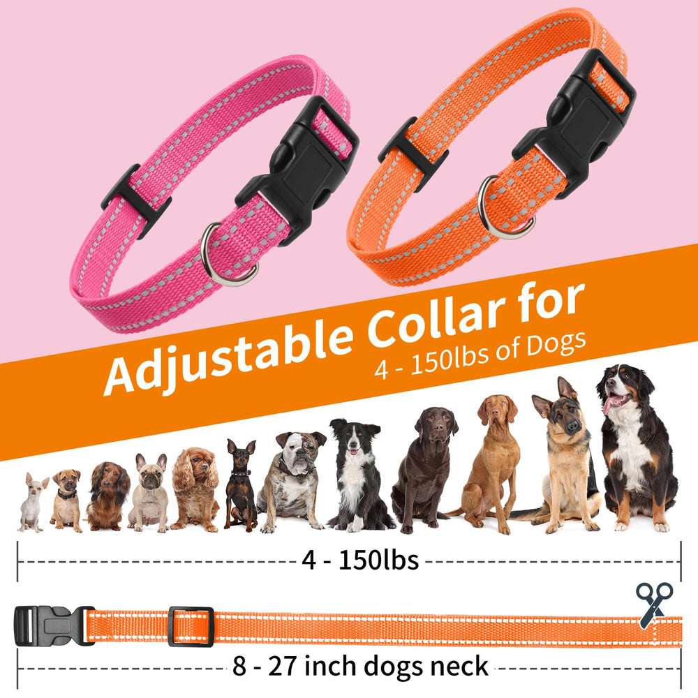 PaiPaitek sangle portée sur chien pour promenades sécurisées
