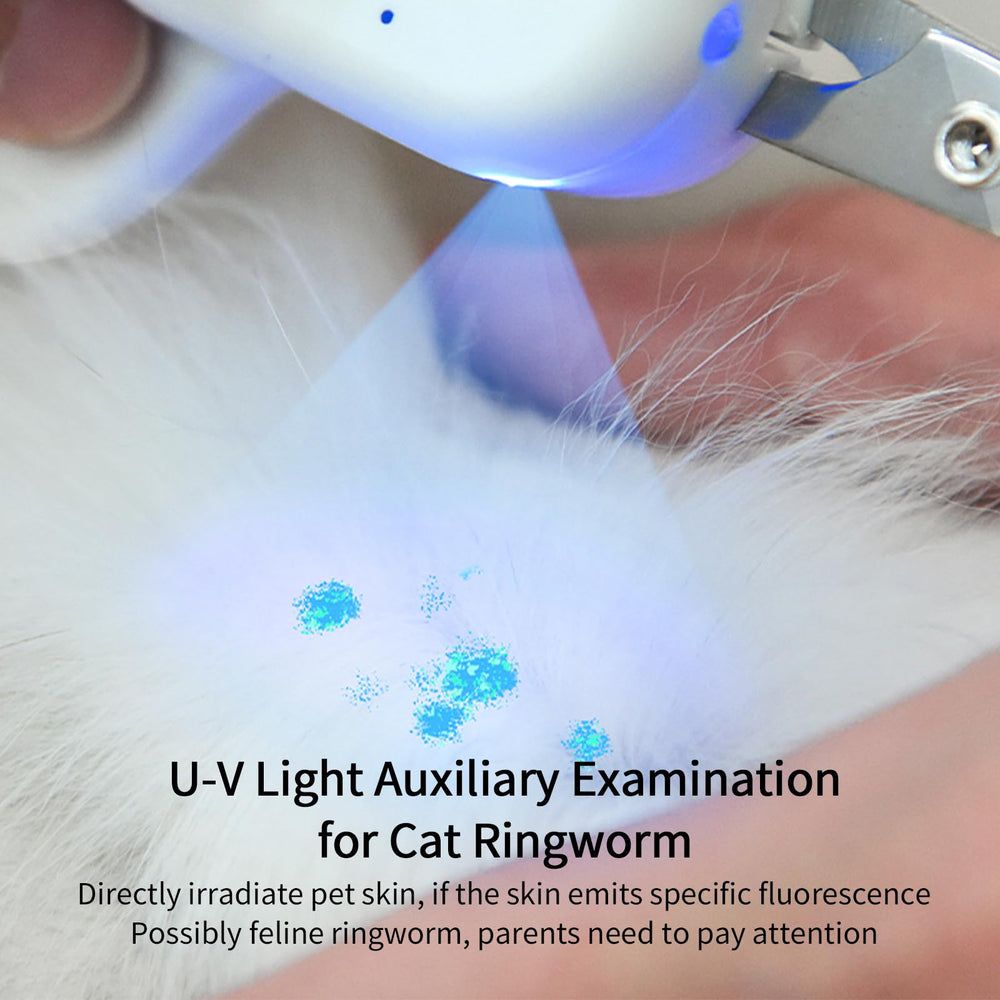 PAKEWAY gros plan sur la lame en acier inoxydable pour coupes nettes