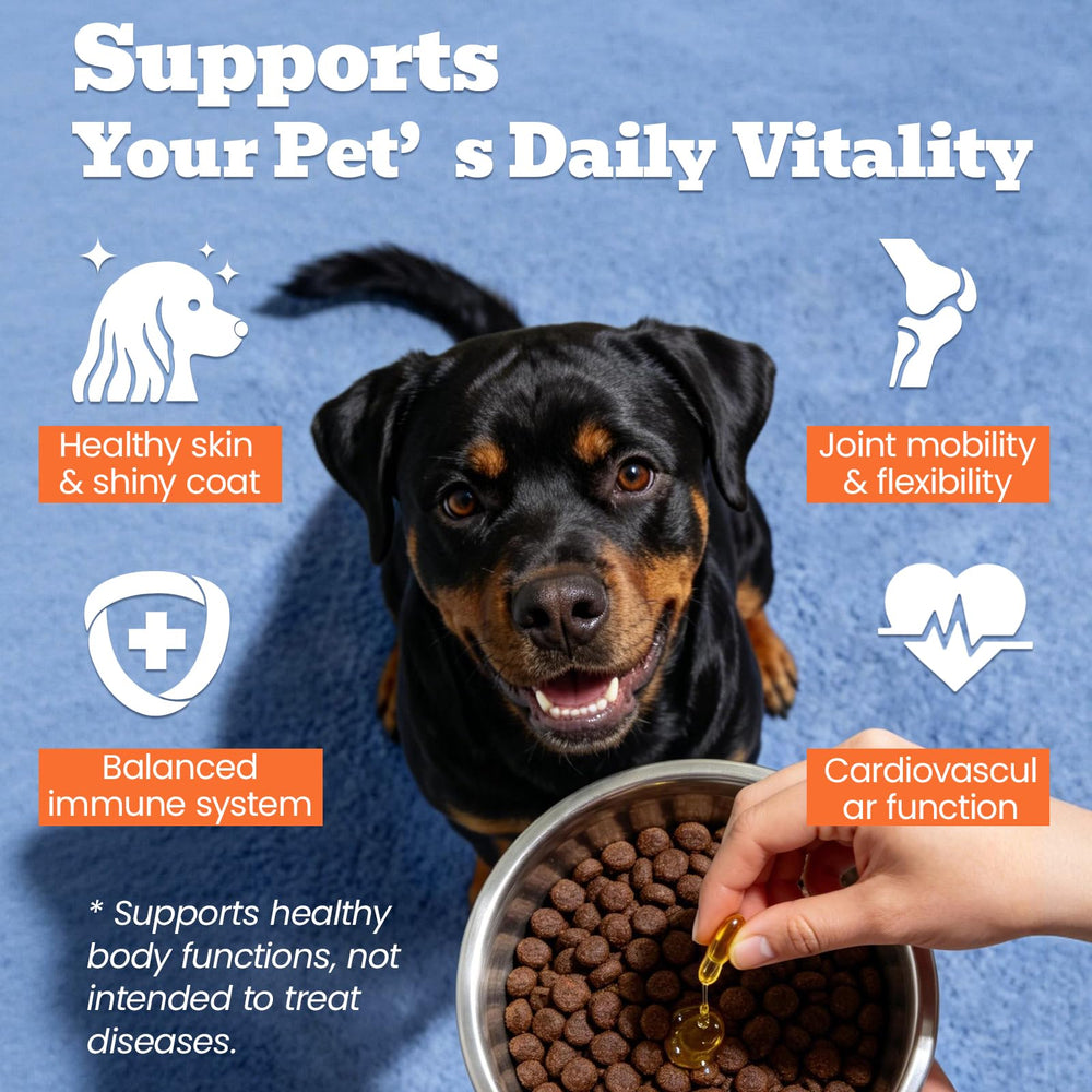 Pals Favor comparaison taille chien avec gélule pour visualiser le dosage adapté