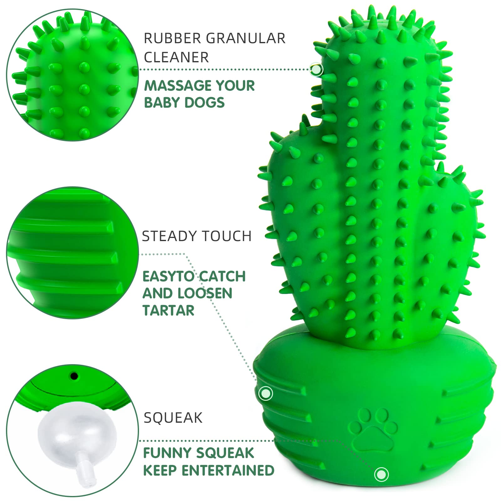 Pamlulu comparaison taille illustre dimensions pour chiens moyens et grands