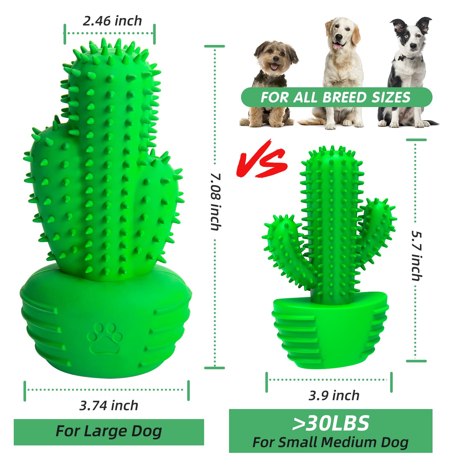 Pamlulu zoom sur soies nettoyantes qui frottent plaque et stimulent gencives