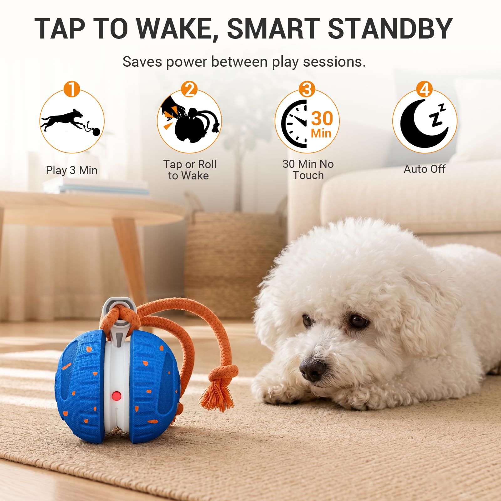 Pamlulu comparatif taille adapté aux petits et moyens chiens