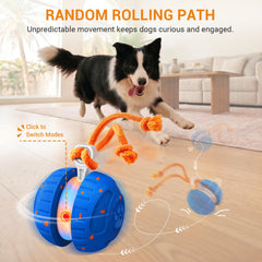 Pamlulu chien joue seul stimule activité et réduction ennui