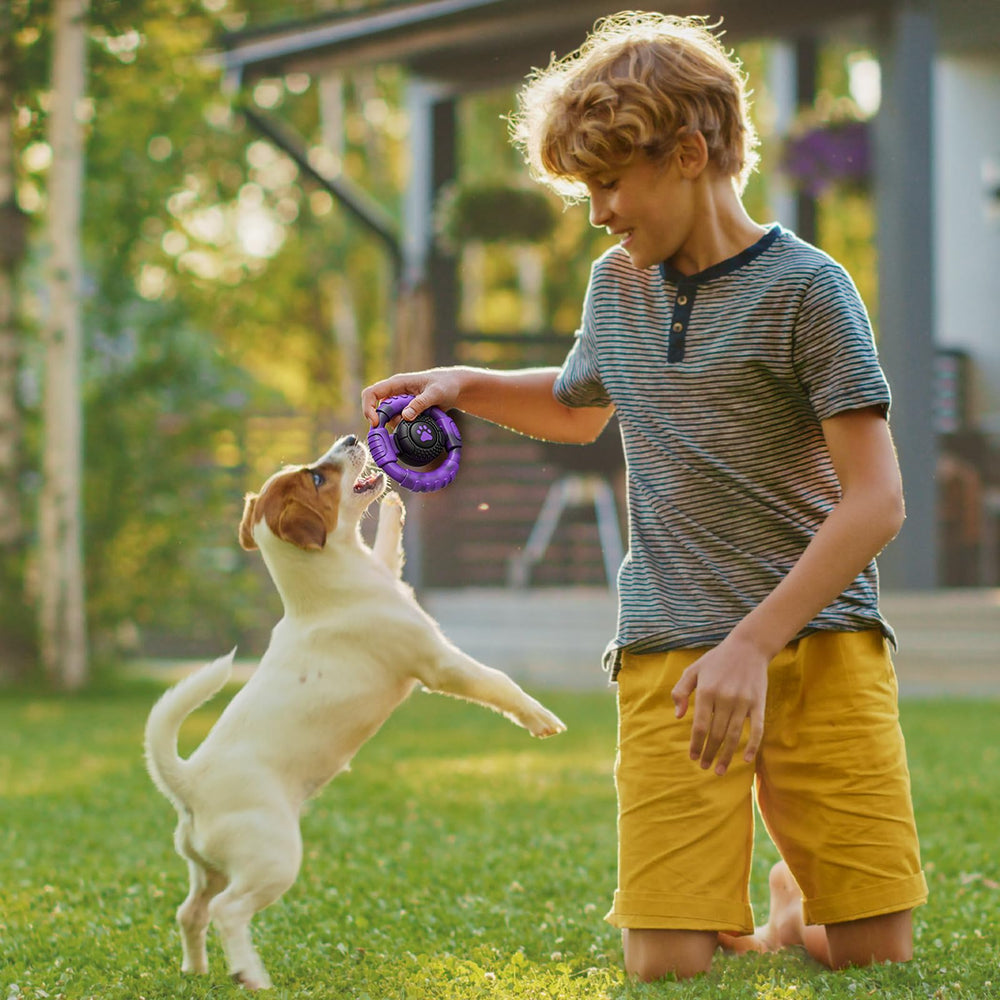 Pamlulu jouet en plein air dans le jardin, encourage fetch et exercice