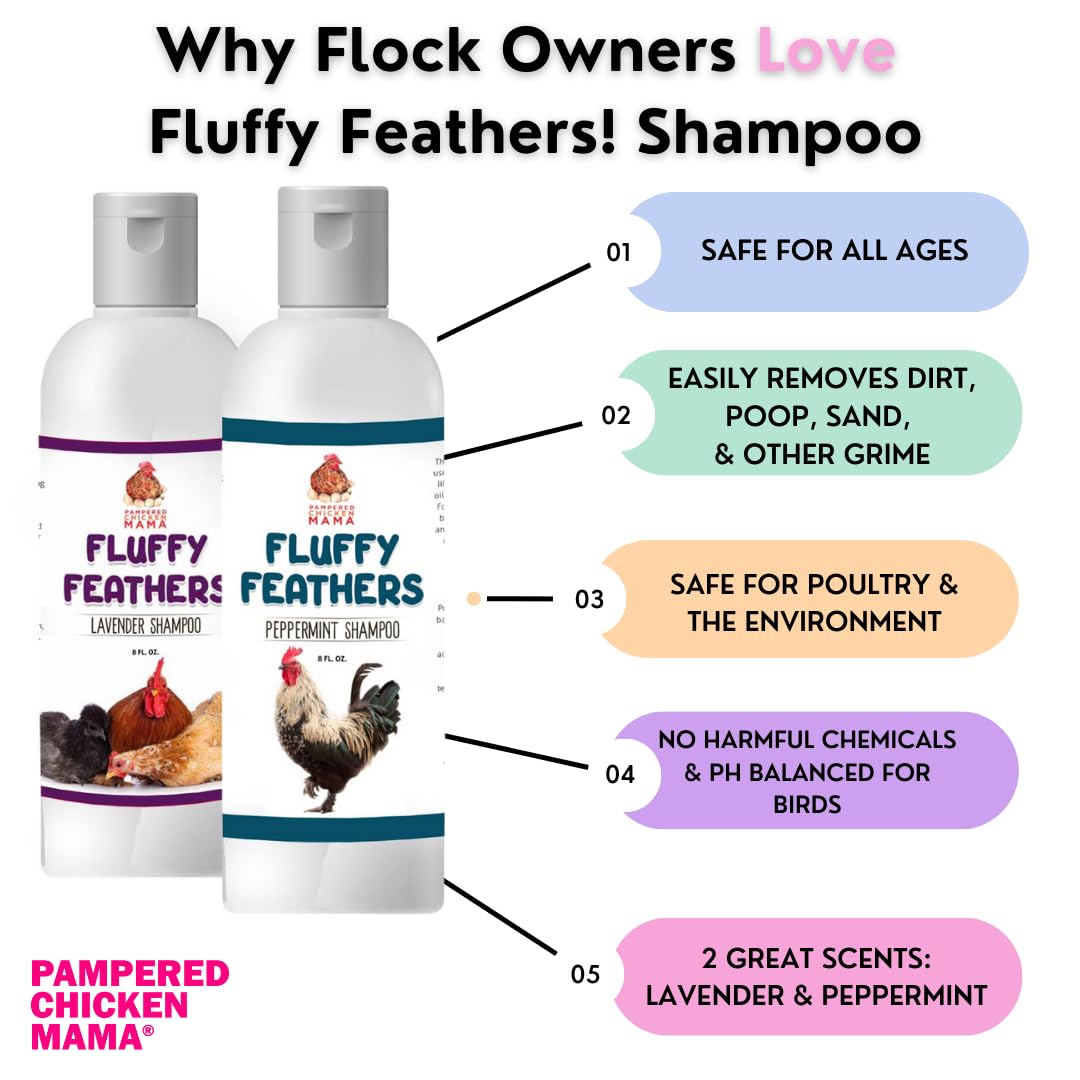 Pampered Chicken Mama en usage bain poule nettoie efficacement plumes