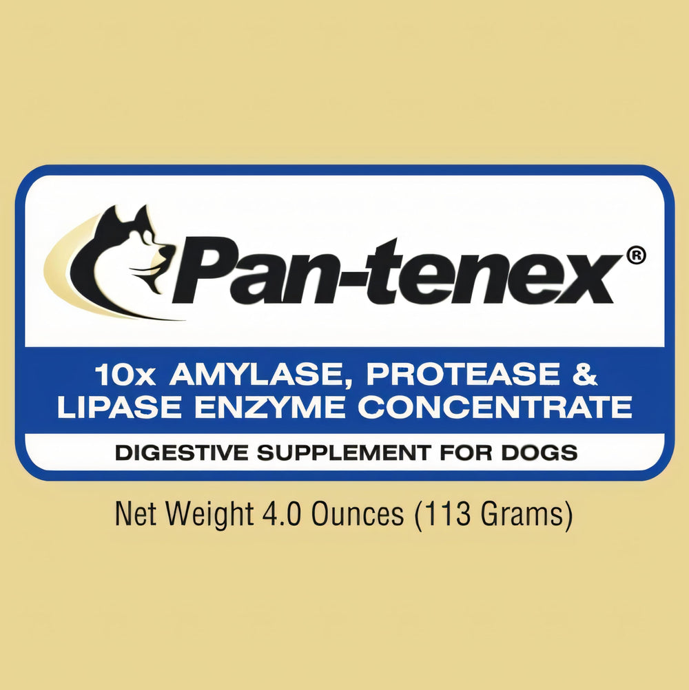 Pan-tenex poudre gros plan montrant texture fine pour mélange facile aux croquettes
