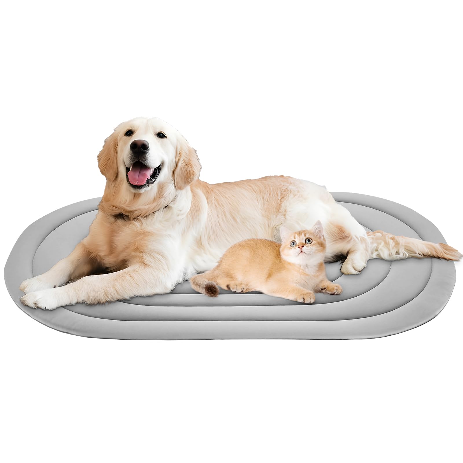 Papettly gros plan étiquette matériaux montrant qualité lavable