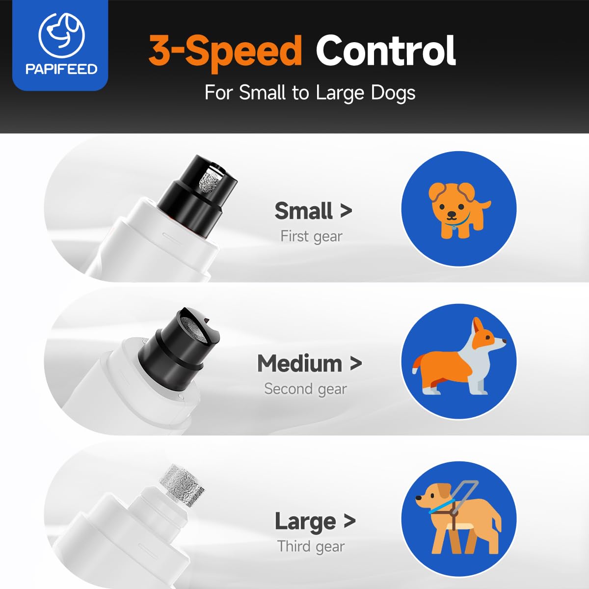 PAPIFEED en usage sur chien moyen, coupe douce sans effrayer l’animal