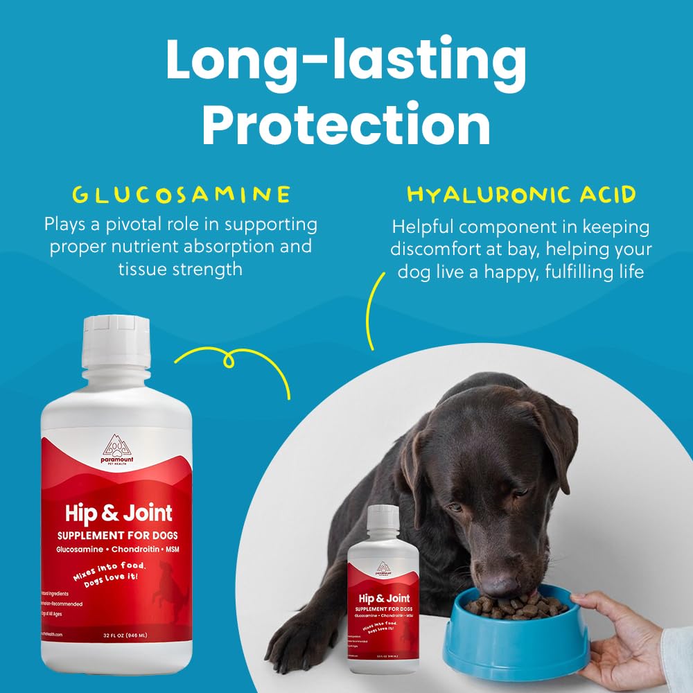 Paramount Pet Health chien senior descendant escaliers avec confort soutenu