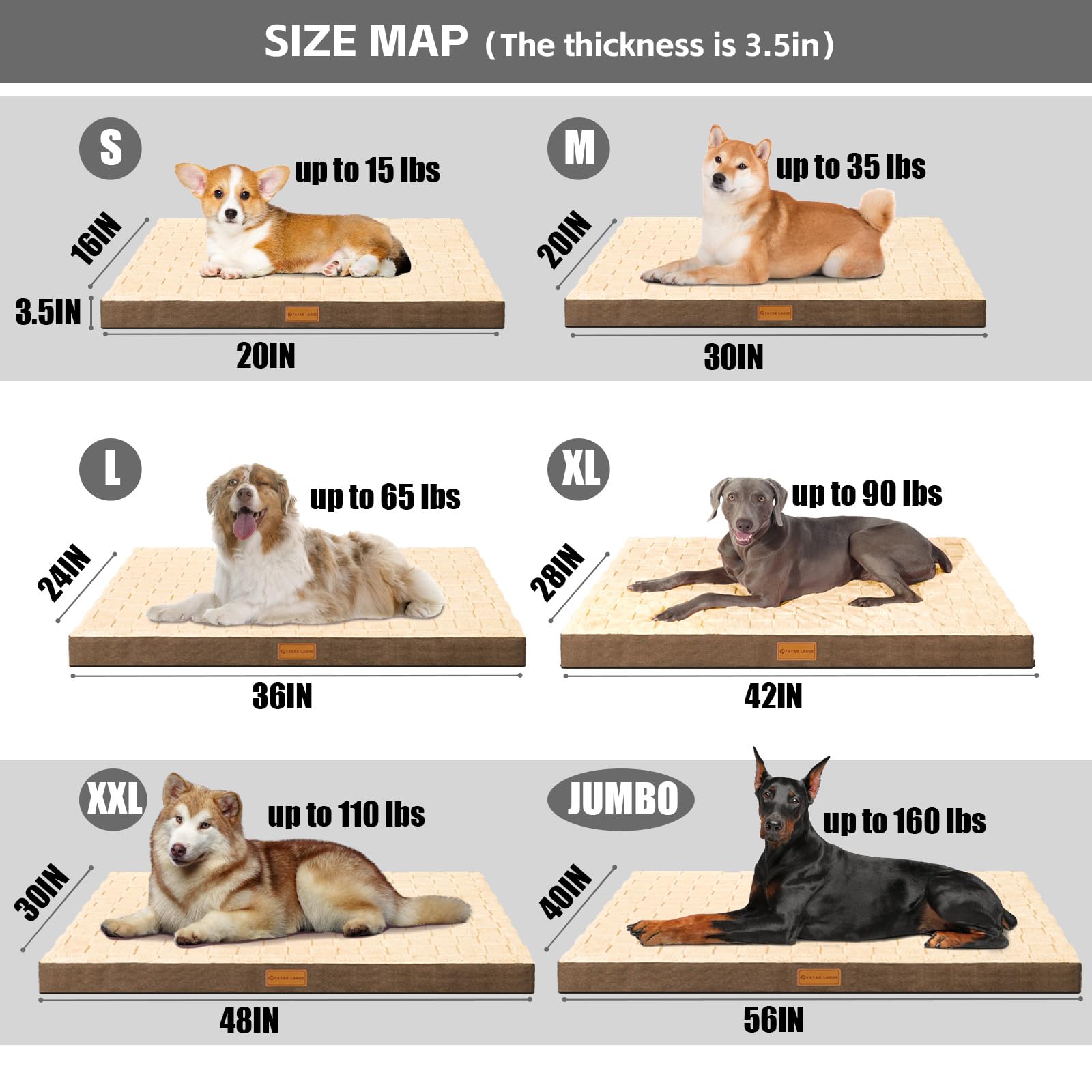 Patas Lague chien allongé sur le lit, soutien visible et repos détendu