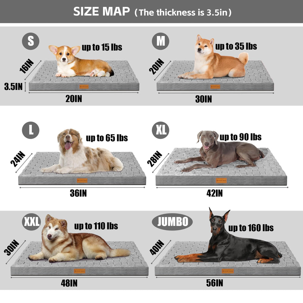 Patas Lague comparaison taille avec chien, espace et adaptation