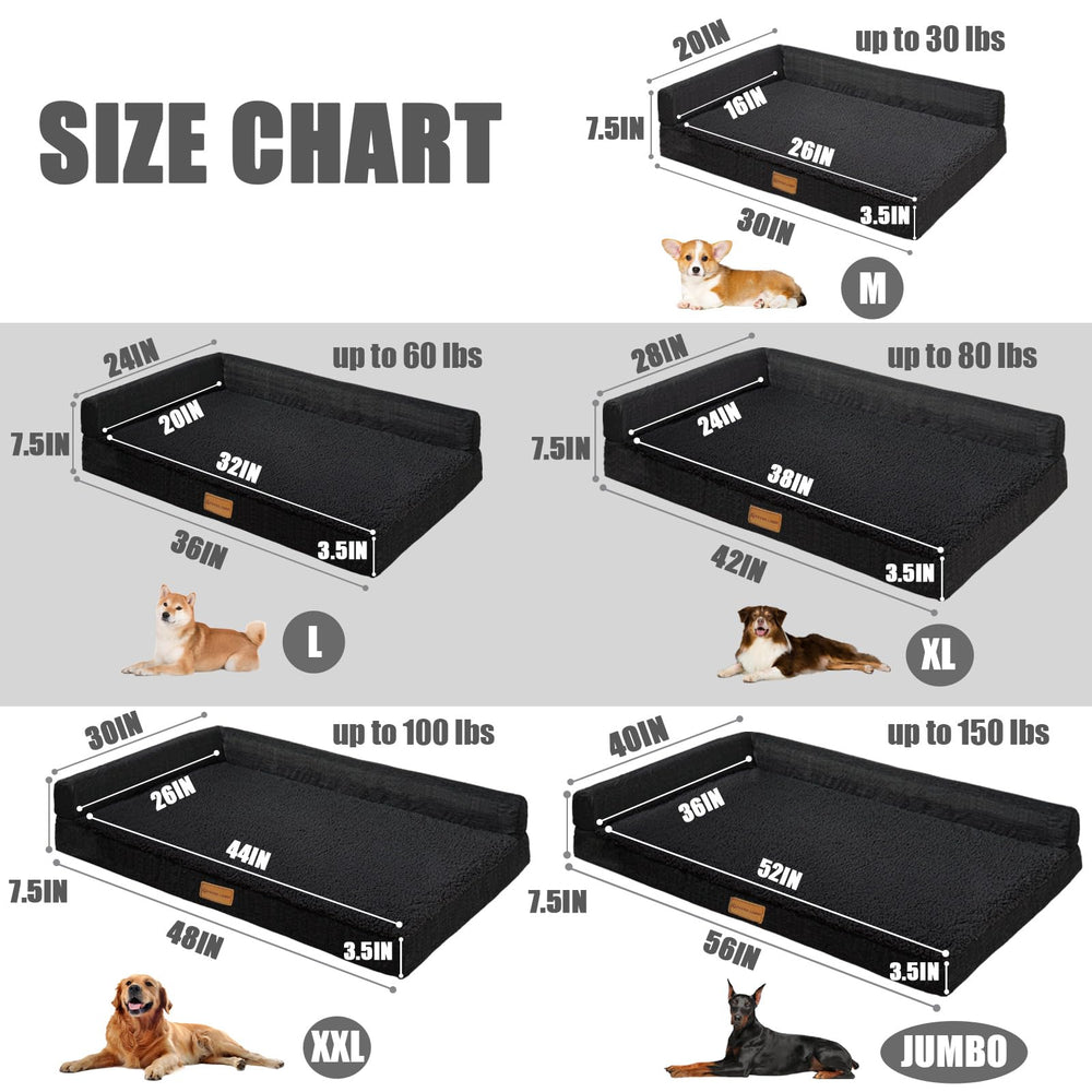 Patas Lague comparaison taille avec chien pour évaluer dimension idéale