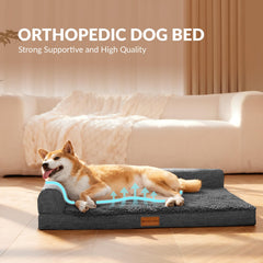 Patas Lague chien allongé sur le sofa démontrant confort et stabilité