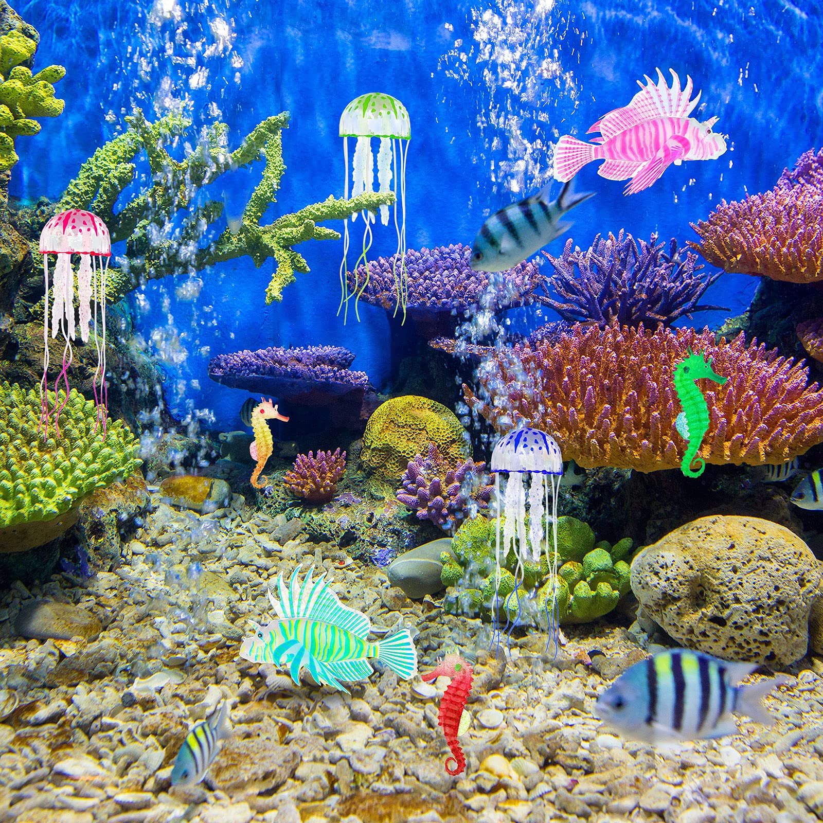 Patelai mise en scène dans aquarium nocturne créant ambiance onirique