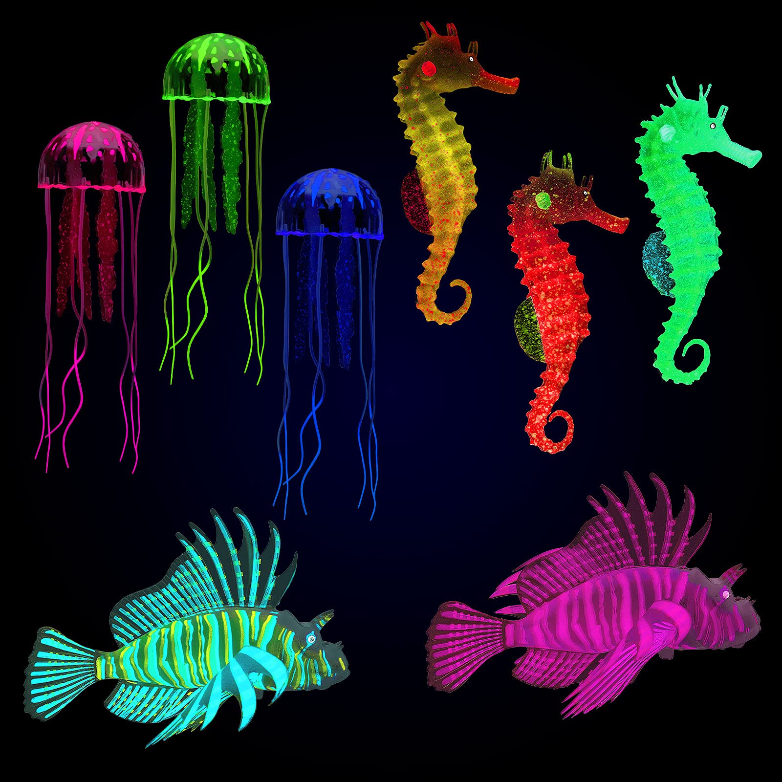 Patelai boîte ouverte montrant 8 décorations pour aquarium et rendu coloré