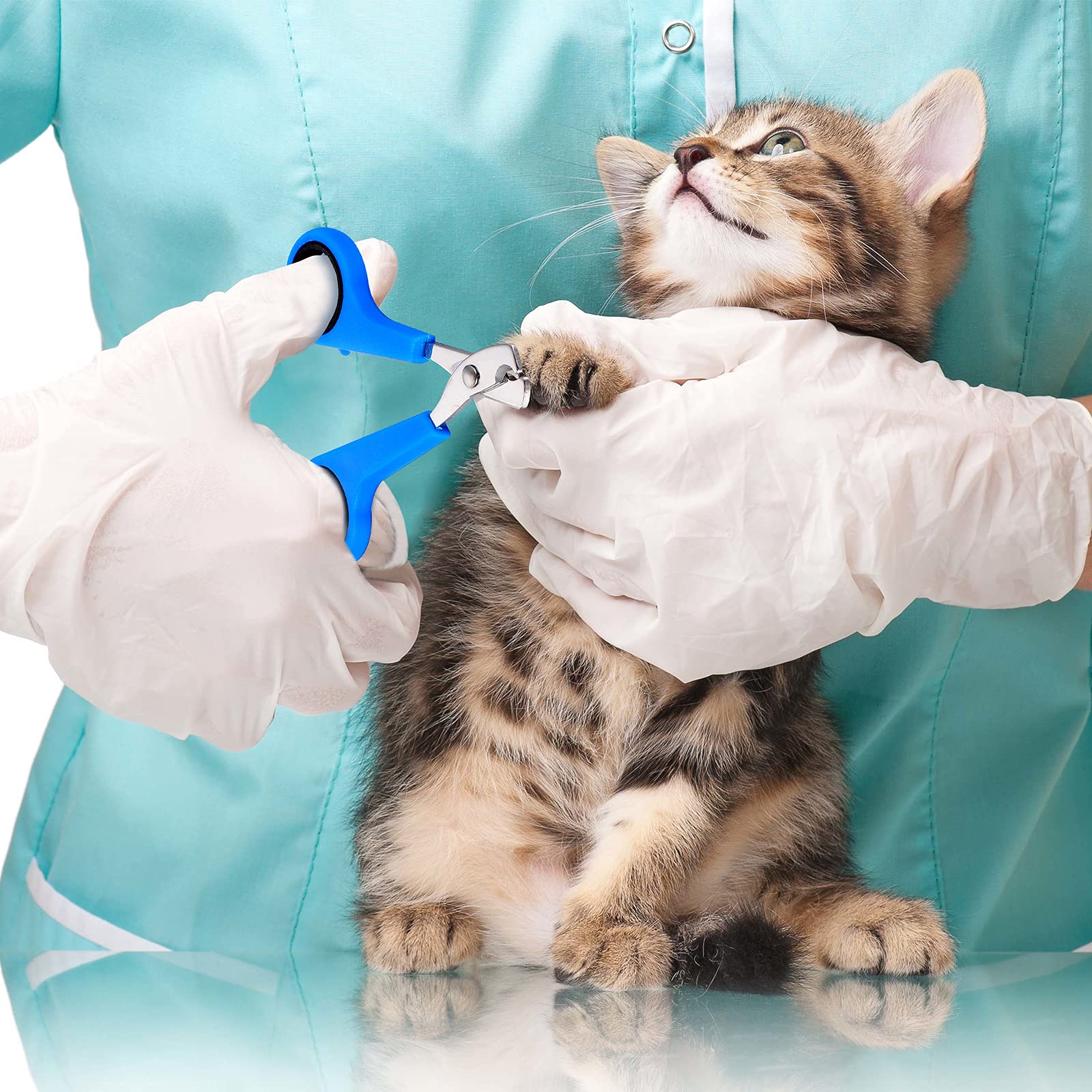 Patelai sac en usage sur chat calme pour bain sécurisé et maniabilité