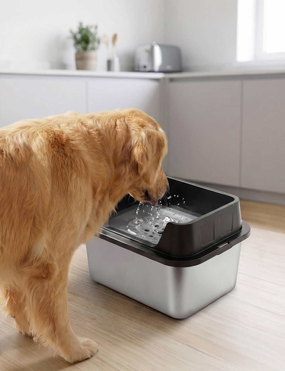 Patidofy comparaison de taille 11L montrant capacité adaptée aux grands chiens et familles