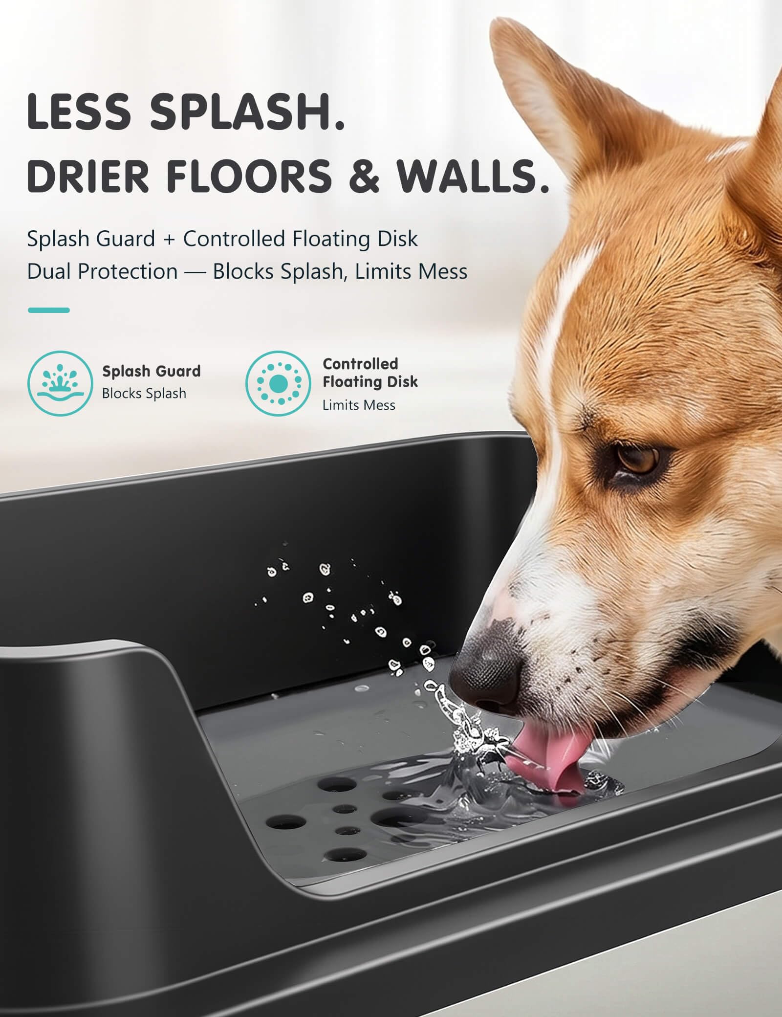 Patidofy bol en acier inoxydable gros plan montrant surface durable et facile à laver