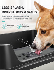 Patidofy bol en acier inoxydable gros plan montrant surface durable et facile à laver