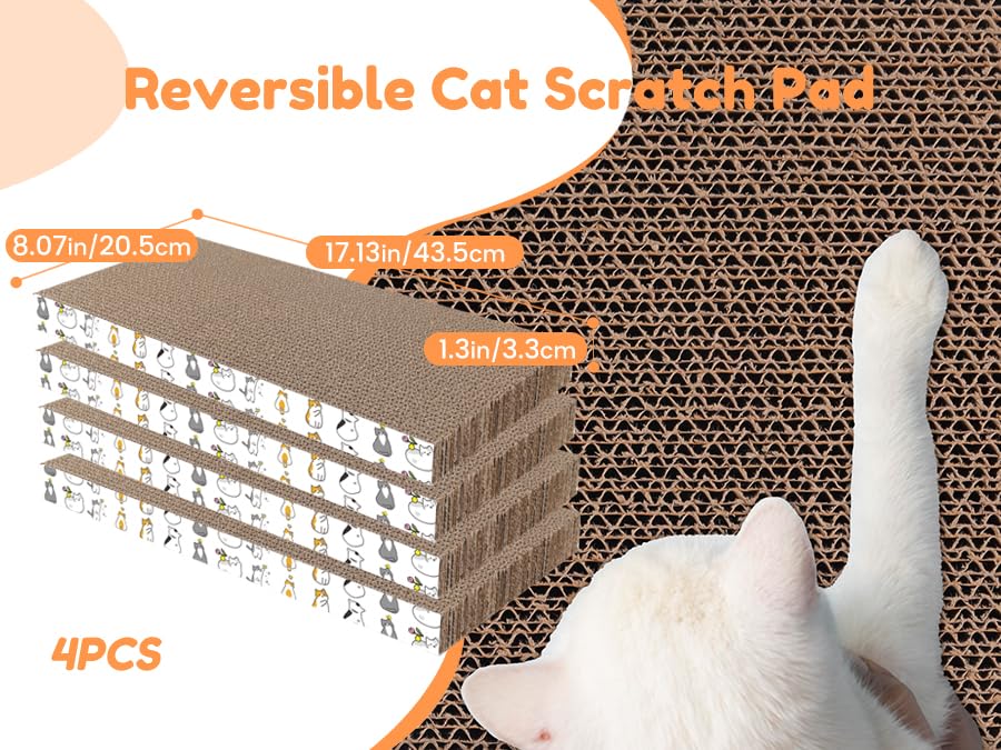 PatiencET comparaison de taille avec règle montrant dimensions pratiques