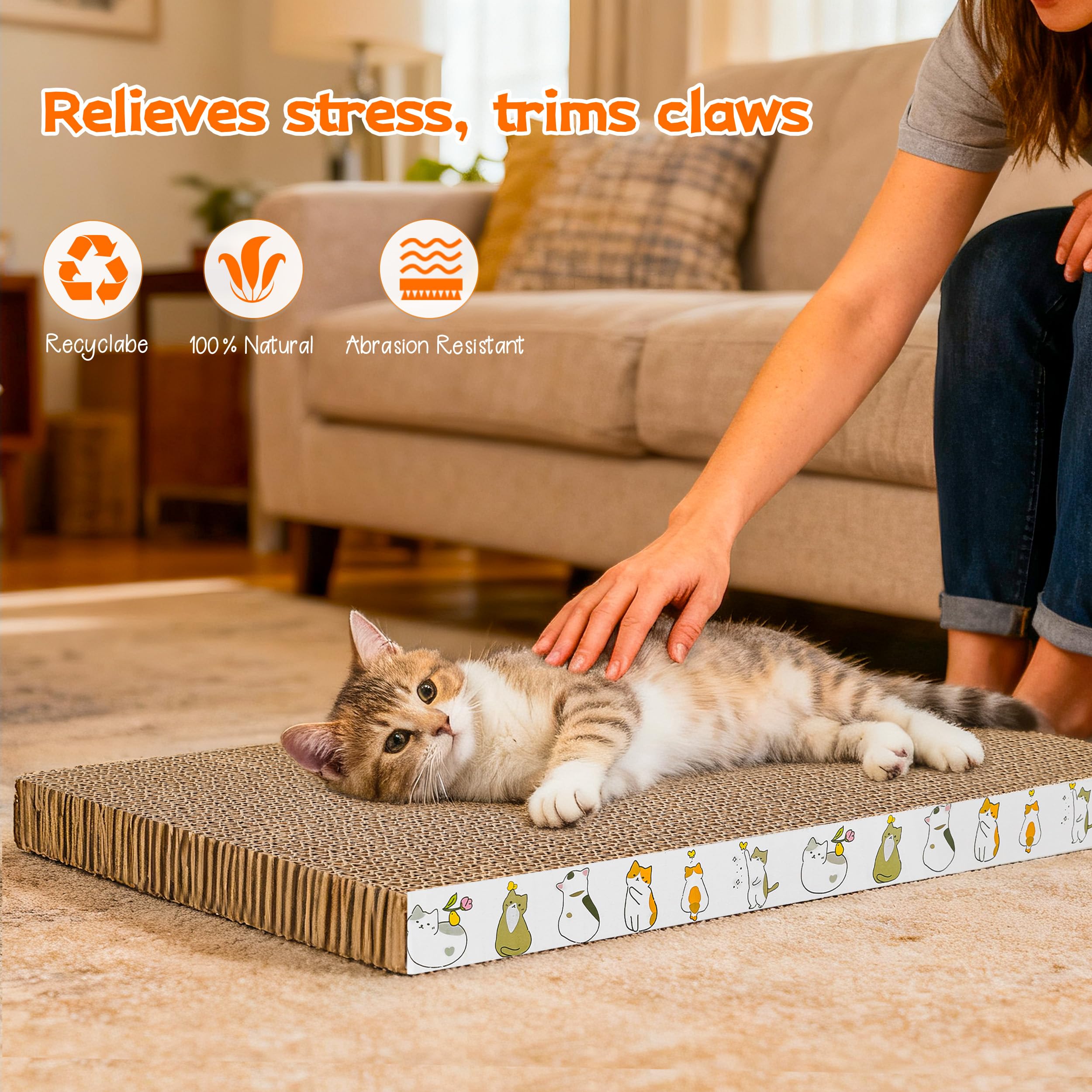 PatiencET emballage et catnips inclus pour attirer rapidement le chat