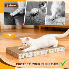 PatiencET griffoir en usage avec chat attiré par catnips et satisfaction