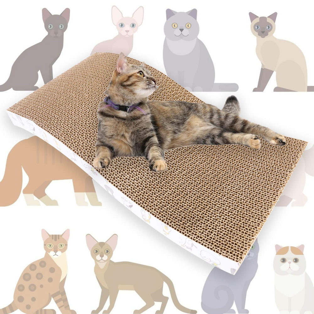 PatiencET packaging avec cataire biologique pour attirer le chat
