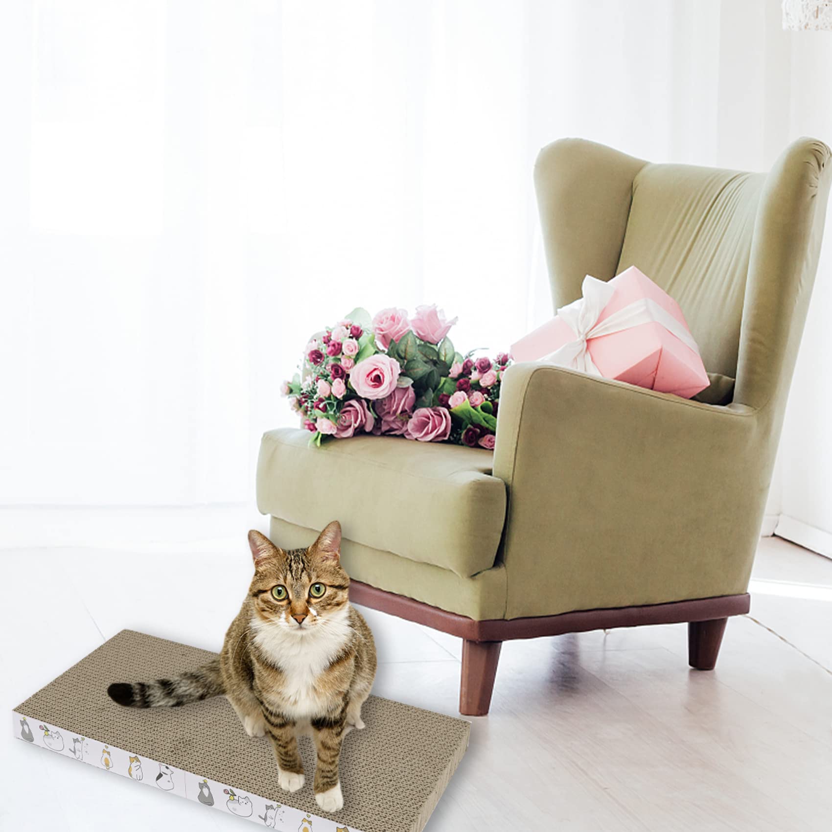 PatiencET sachets d'herbe à chat inclus pour attirer l'intérêt
